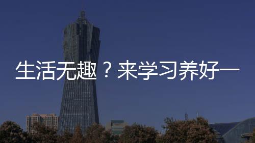 生活无趣？来学习养好一只猫咪吧！