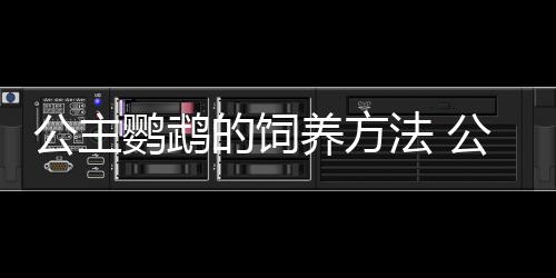 公主鹦鹉的饲养方法 公主鹦鹉价格