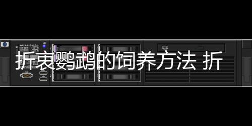 折衷鹦鹉的饲养方法 折衷鹦鹉的产地