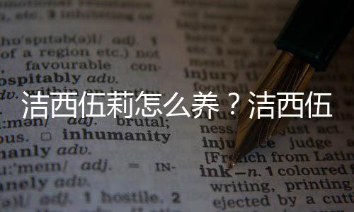 洁西伍莉怎么养？洁西伍莉的养殖方法