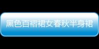 黑色百褶裙女春秋半身裙中长款显瘦两面穿网纱裙双面a字蕾丝裙子